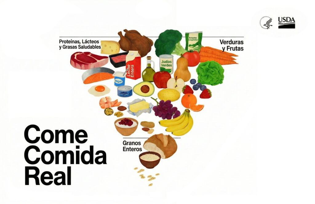 pirámide alimenticia actual